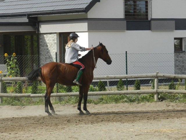 Babie Lato 2016
